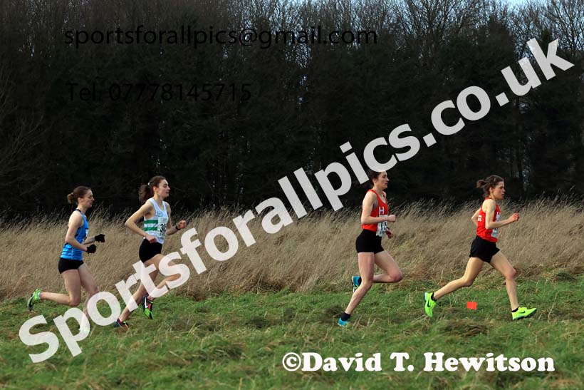 Senior Womens 2024 Northern Cross Country Champs., Sedgefield. Photo: David T. Hewitson/Sports for All Pics